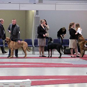 IMG_9211