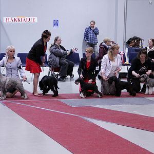 IMG_9221