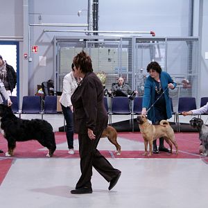 IMG_9223