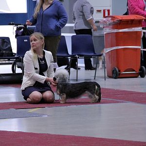 IMG_9229