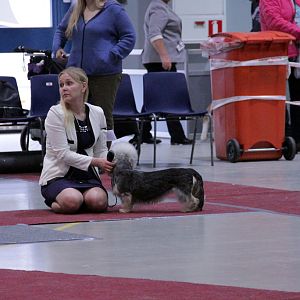 IMG_9230