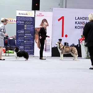 IMG_9231