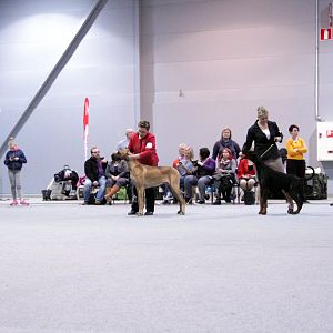 IMG_9232