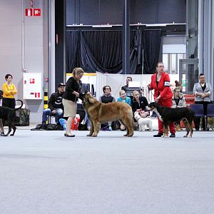 IMG_9234