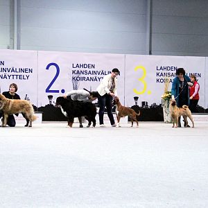 IMG_9239