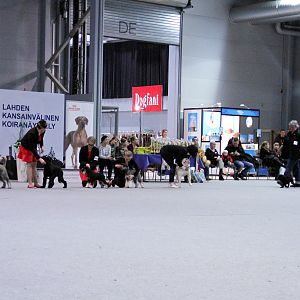 IMG_9244