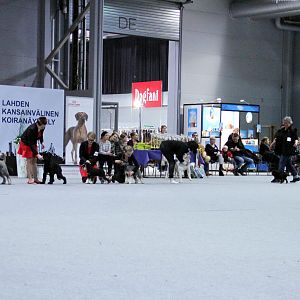 IMG_9245