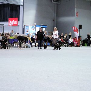 IMG_9246