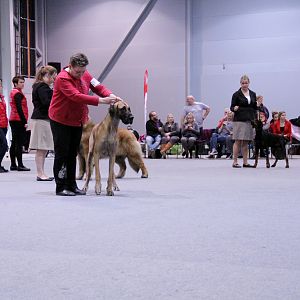 IMG_9247