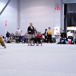 IMG_9248