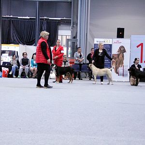 IMG_9249