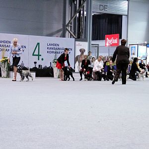 IMG_9252