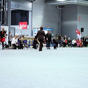 IMG_9254