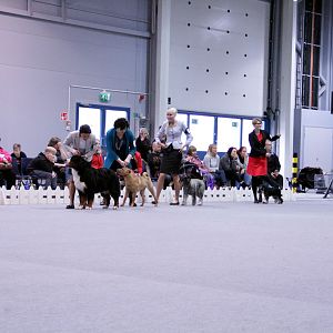 IMG_9262