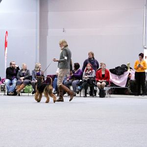IMG_9263