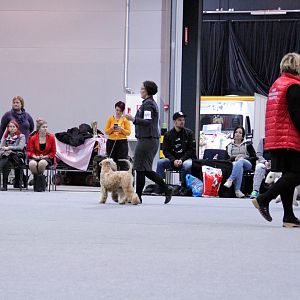 IMG_9264