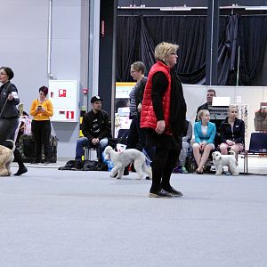 IMG_9265