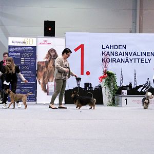 IMG_9269