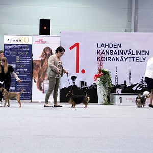 IMG_9270