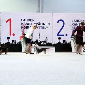 IMG_9271