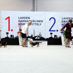IMG_9272