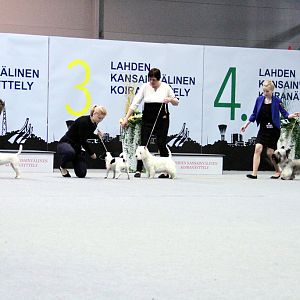 IMG_9275