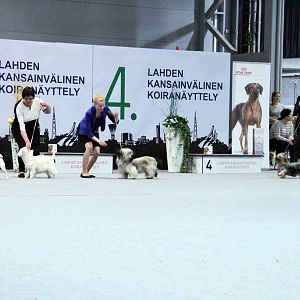 IMG_9276