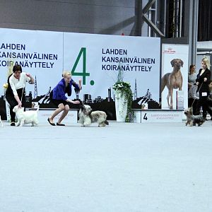 IMG_9277