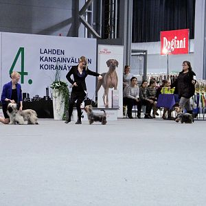 IMG_9278