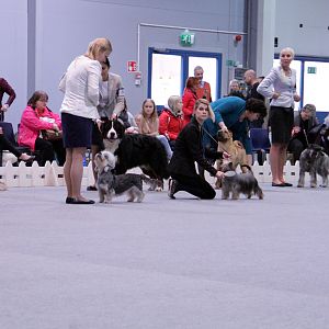 IMG_9283