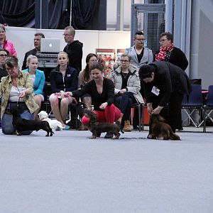 IMG_9286