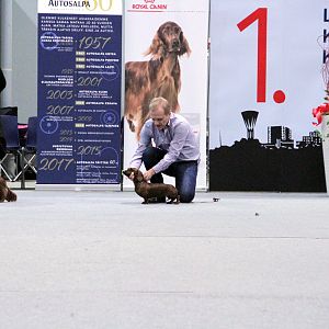 IMG_9288