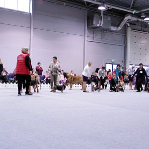 IMG_9289