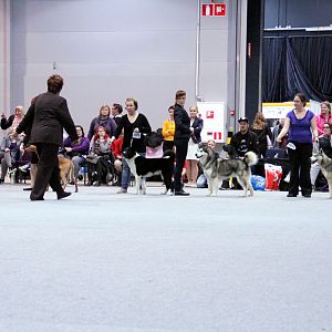 IMG_9290