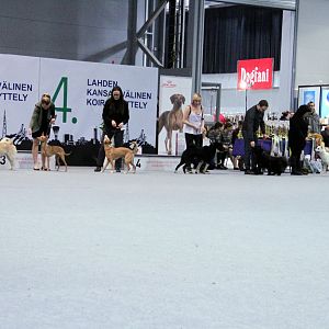 IMG_9296
