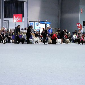 IMG_9297