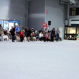 IMG_9299