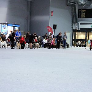IMG_9300