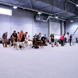 IMG_9301