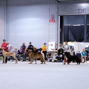IMG_9303