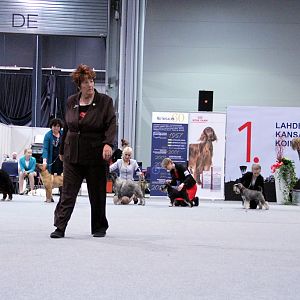 IMG_9304