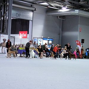 IMG_9309