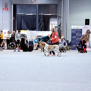IMG_9313