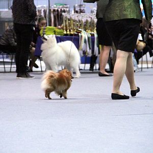 IMG_9315