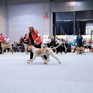 IMG_9316