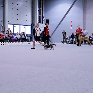 IMG_9318