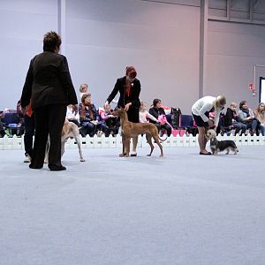 IMG_9320
