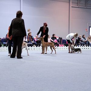 IMG_9321