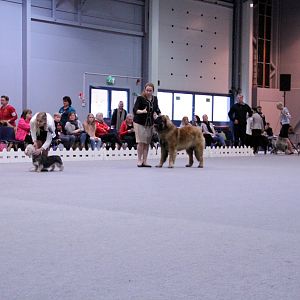 IMG_9323