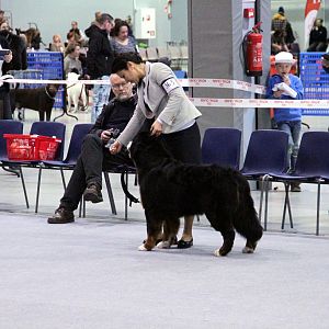 IMG_8590